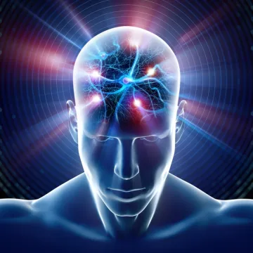 Animated human with neurons sending signals in the brain