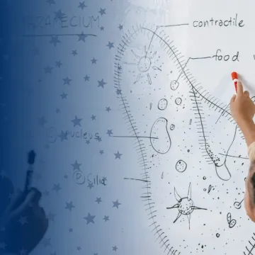 Educator at Whiteboard