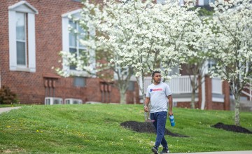 A male student walks down a sidewalk on campus with trees blooming behind him. 
