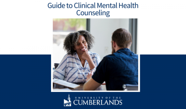 2020 Guide to Clinical Mental Health Counseling - University of the Cumberlands