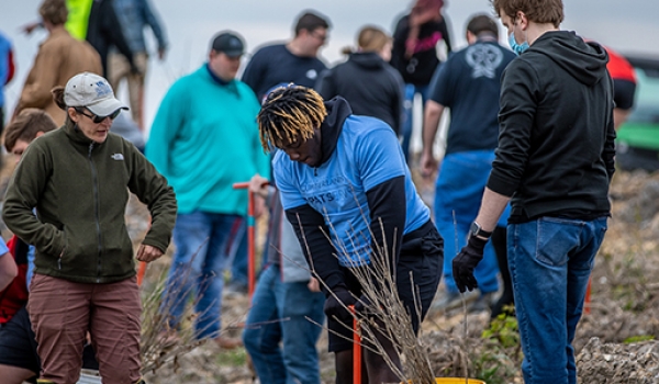 Cumberlands celebrates Arbor Day by planting trees