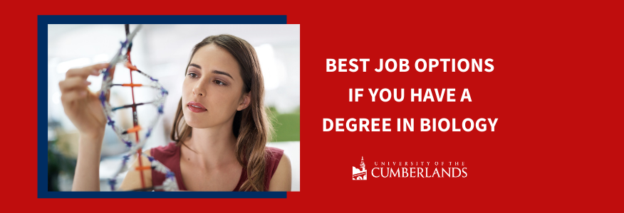 Best Job Options if You Have a Degree in Biology - University of the Cumberlands