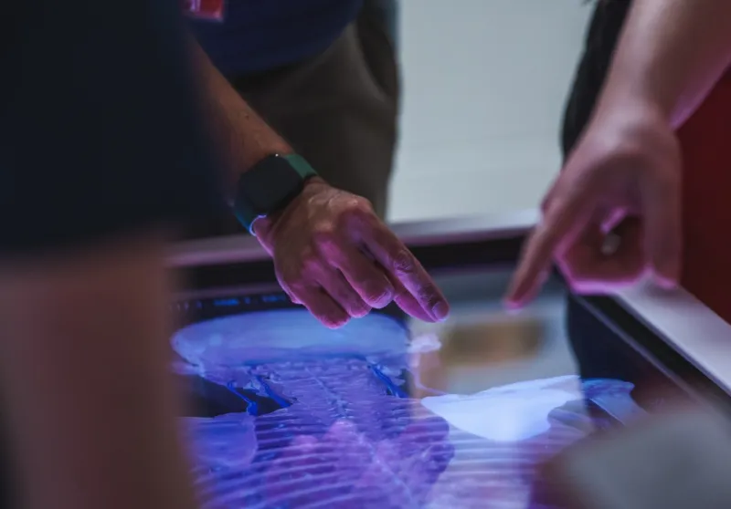 Full Body Scan Being Examined