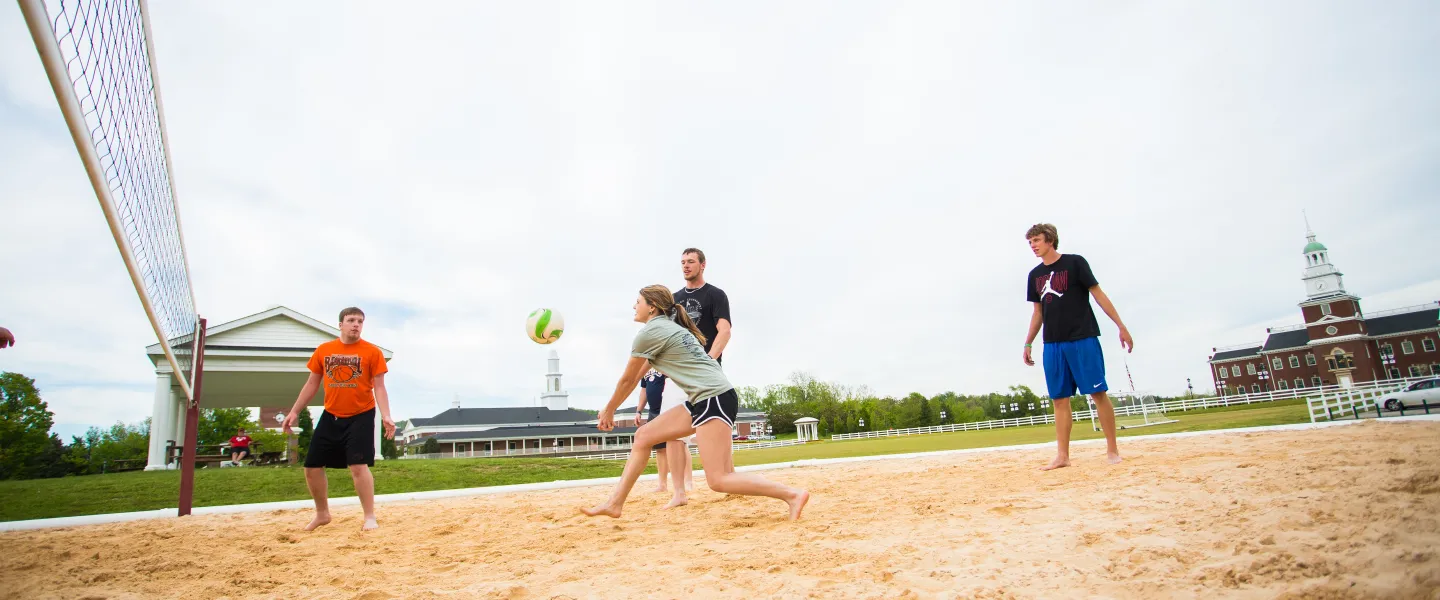 People playing volleyball