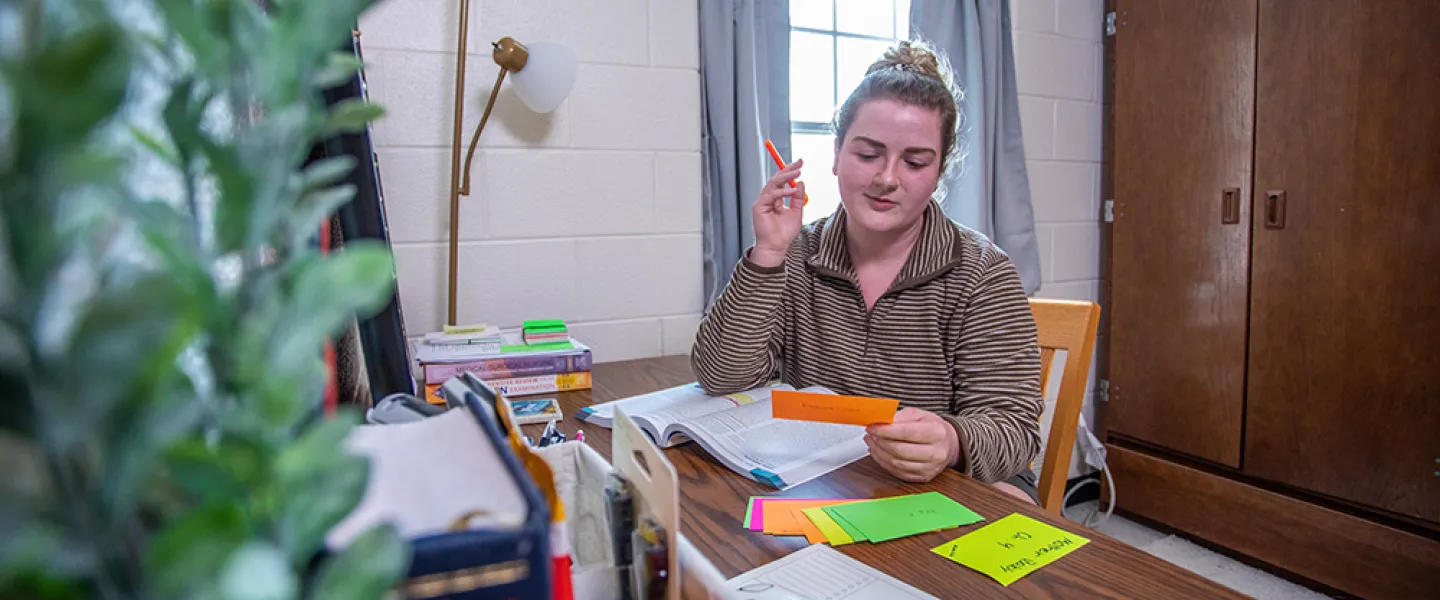 A student studying in their dorm