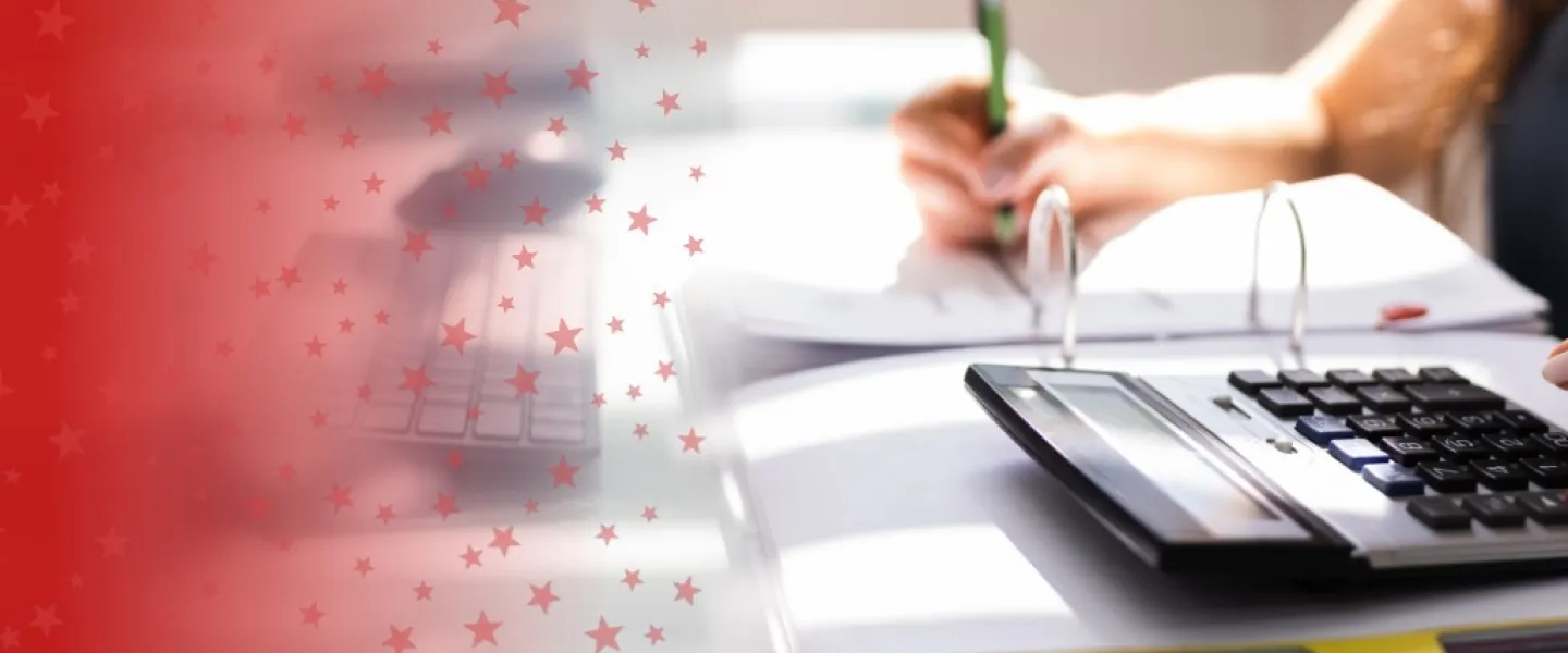 Accountant Working