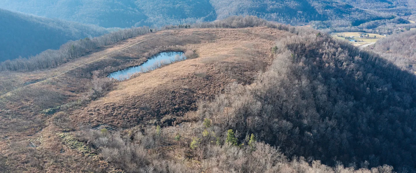 Cumberlands and KDFWR are converting 10,000 acres of mountain property into a wildlife management area.