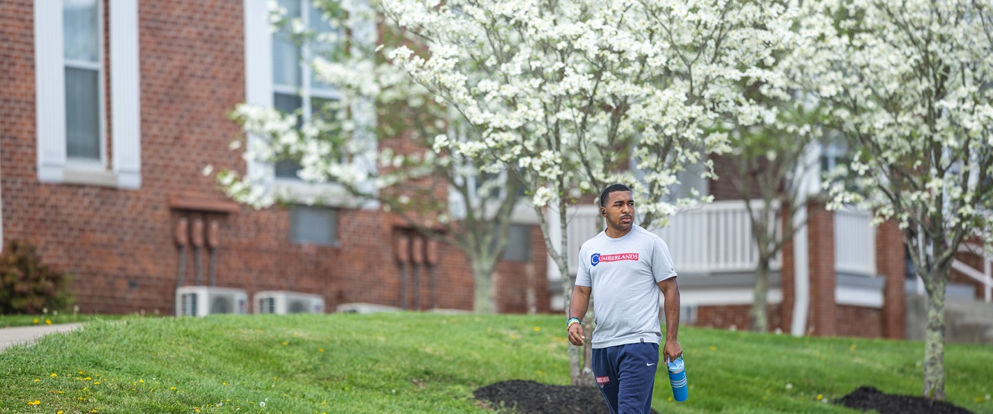 A male student walks down a sidewalk on campus with trees blooming behind him. 