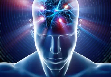 Animated human with neurons sending signals in the brain