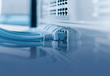 Ethernet Cables Plugged into Computer