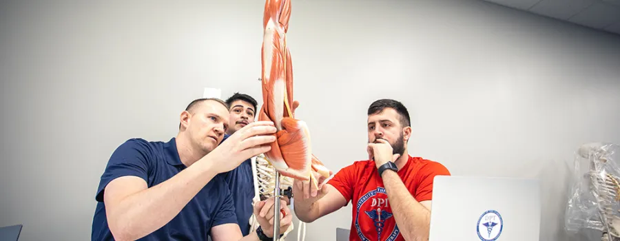 DPT teacher and students examine musculoskeletal model