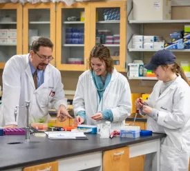 Three biologists working