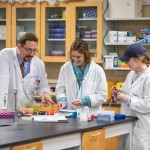 Three biologists working
